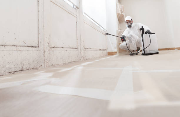 24/7 Emergency Bathroom Mold Removal experts in Springfield, TN